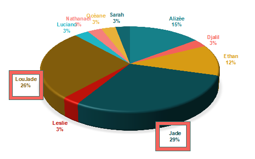 Figure 19. Taux d’activités au sein de la famille nucléaire chez les élèves de Bois de Nèfles